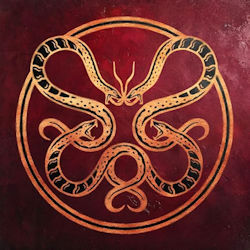 The Anatomy Of Surviving. - Vicious Rain