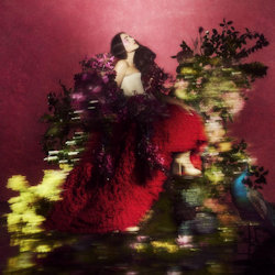 Superbloom. - Ware, Jessie