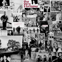 Gained-Lost. - Wave Pictures