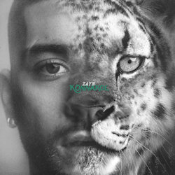 Konnakol - Zayn