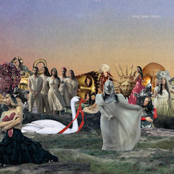 The Mute Swan Empire. - Charlotte Wessels